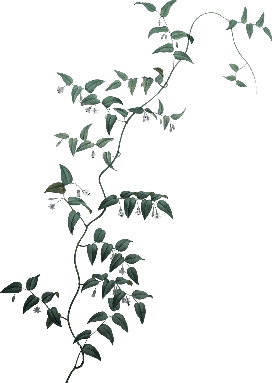 Ornaments