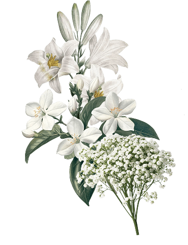 Ornament