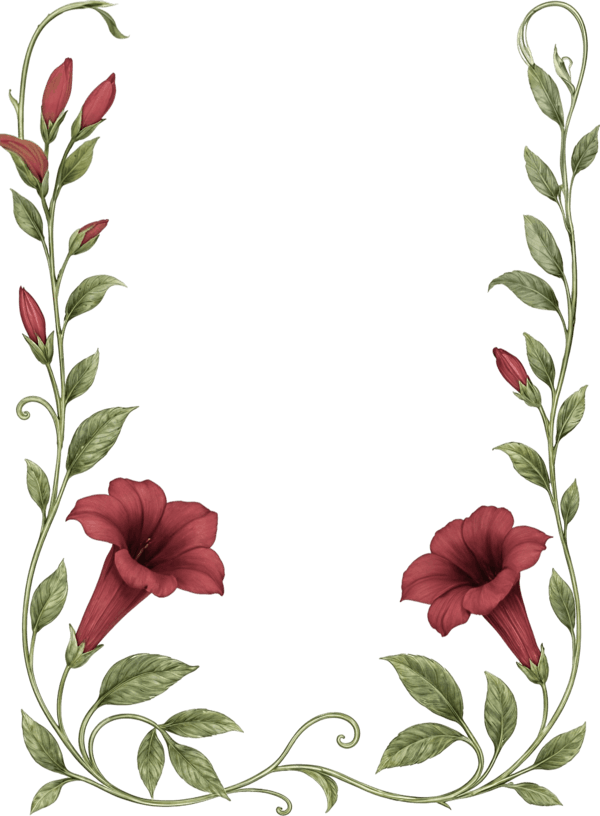 Ornaments