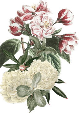 Ornament